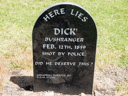 Dick the Bushranger (id=3313)